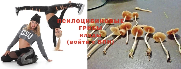 тгк Ельня
