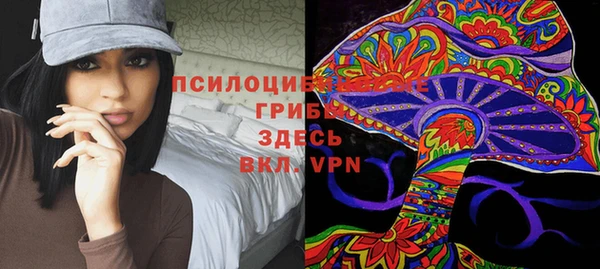 шишки Абинск