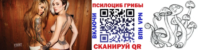 Псилоцибиновые грибы мицелий Алагир